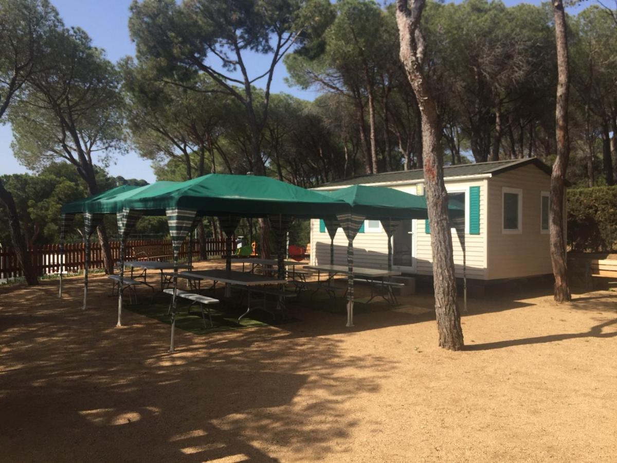 Camping Treumal Hotel Sant Antoni De Calonge Exterior photo